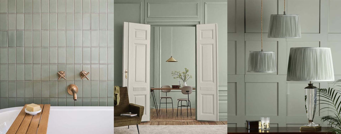Sage Green: A Gentle and Elegant Gray-Green
