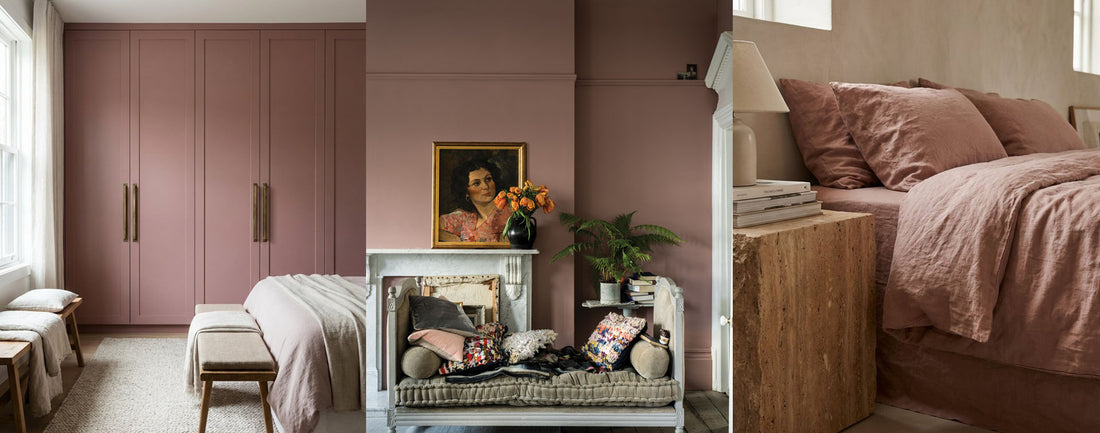 Dusty Rose: A Faded Rose in Bloom at Home