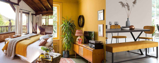 Mustard Yellow: The Spicy, Rebellious Shade of Yellow